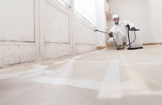 24/7 Emergency Commercial Mold Remediation experts in Port Monmouth, NJ