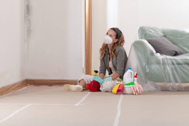 Reliable Commercial Mold Remediation contractor in Port Monmouth, NJ by Car Mold Remediation